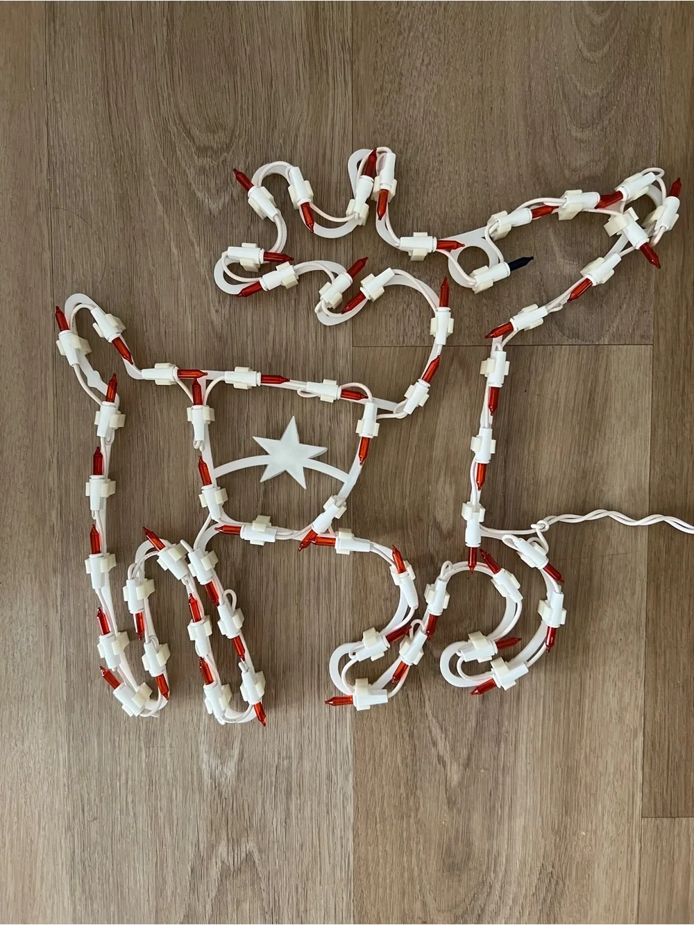 Red Light-Up Reindeer Accent Christmas Decor